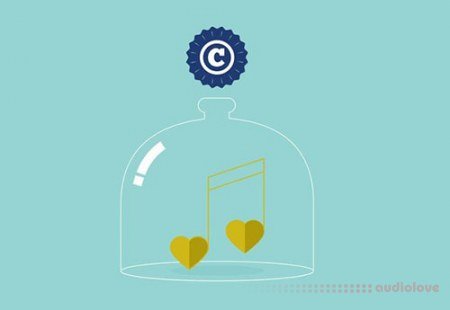 Udemy Copyright Like a Rock/Star