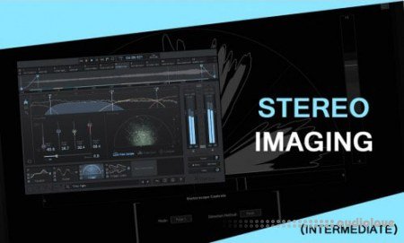 Vandalism Stereo Imaging