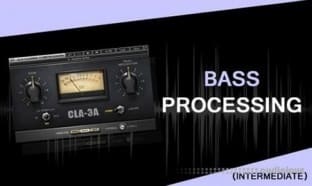 Vandalism Bass Processing