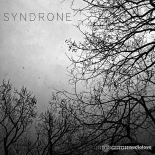 Glitchmachines SYNDRONE