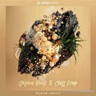 CAPSUN ProAudio Golden Beats and Chill Hop