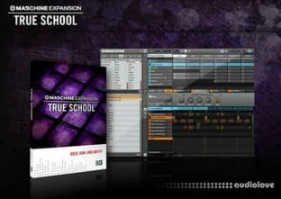 Native Instruments Maschine Expansion True School