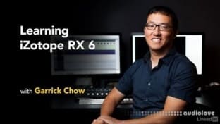 Lynda Learning iZotope RX 6