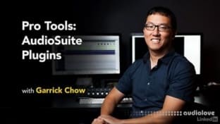 Lynda Pro Tools AudioSuite Plugins