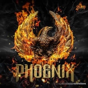 2DEEP Phoenix