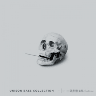 Unison Bass Collection for Serum Vol.1