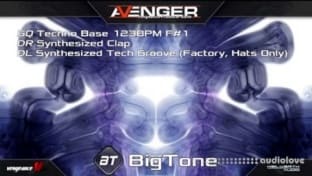 Vengeance Avenger Expansion Pack BigTone