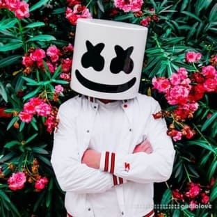 Creator Arcade Marshmello Summer