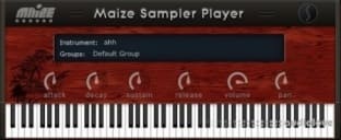 Maize Soft Maize Sampler 2