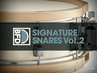 FXpansion BFD Signature Snares Vol.2