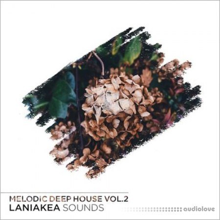 Laniakea Sounds Melodic Deep House Vol.2