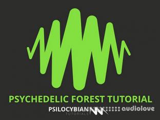 Psilocybian Psychedelic Forest