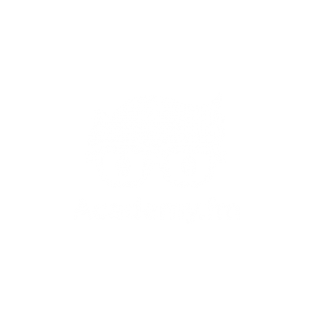 Academy.fm 48 Tutorials and Courses