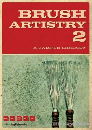 Big Fish Audio Brush Artistry 2