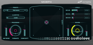 Zynaptiq MORPH