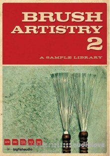 Big Fish Audio Brush Artistry 2