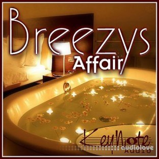 Keynote Audio Breezys Affair