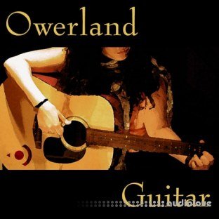 Precisionsound Owerland Guitar