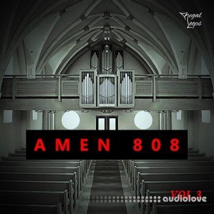 Regal Loops AMEN 808 Vol.3