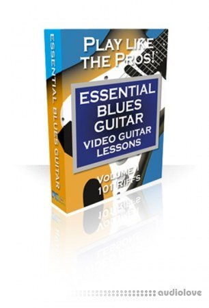 PG Music Video Guitar Lessons Essential Blues Guitar Volumes 1 and 2