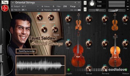 Findasound Fayez Saidawi Oriental Strings