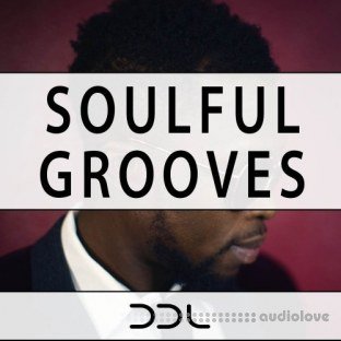 Deep Data Loops Soulful Grooves