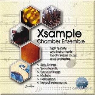 Best Service Xsample Chamber Ensemble