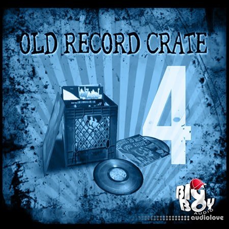 Big Boy Audio Old Record Crate 4