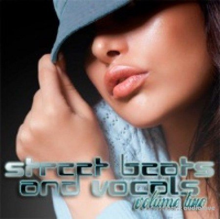 Big Fish Audio Street Beats and Vocals Vol.2