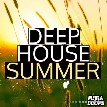 PUMA Loops Deep House Summer