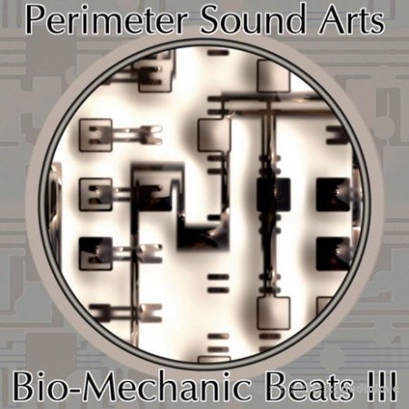 Perimeter Sound Arts Bio-Mechanic Beats III