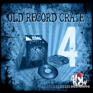 Big Boy Audio Old Record Crate 4