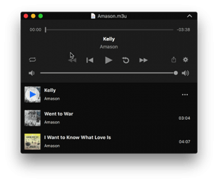 Little Audio App Audio Playr