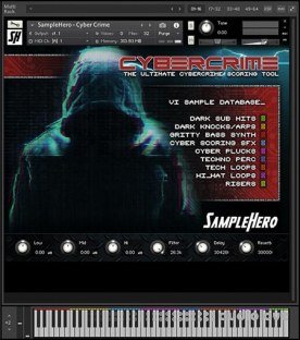 SampleHero Cyber Crime