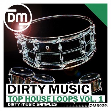 Dirty Music Top House Loops Vol.1