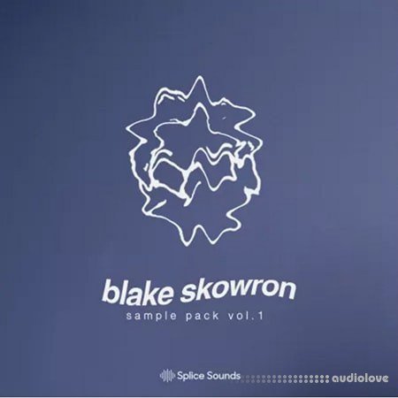 Splice Sounds Blake Skowron Sample Pack