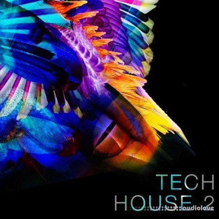 Spf Samplers Tech House 2