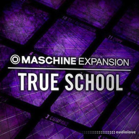 Native Instruments Maschine Expansion True School