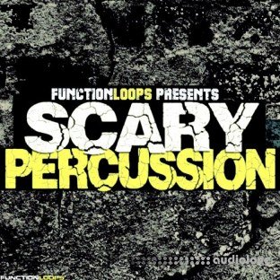 Function Loops Scary Percussion