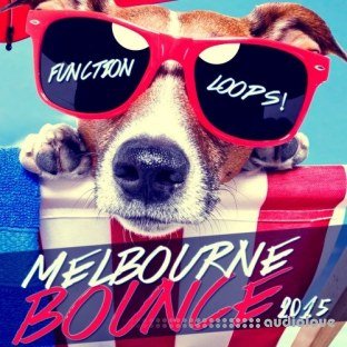 Function Loops Summer Melbourne Bounce 2015