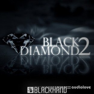 Black Hand Loops Black Diamond 2