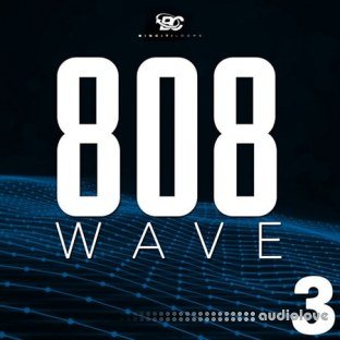 Big Citi Loops 808 Wave 3