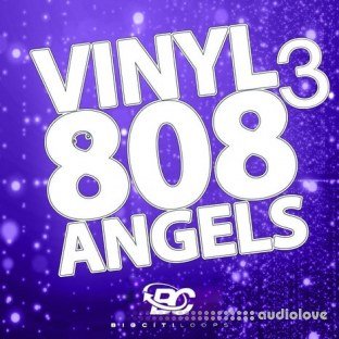 Big Citi Loops Vinyl 808 Angels 3