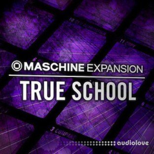 Native Instruments Maschine Expansion True School