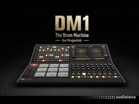 DM1 The Drum Machine