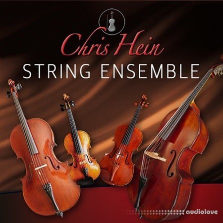 Chris Hein Ensemble Strings