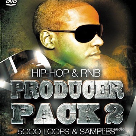 Digital Loopline HipHop and RnB Producer Pack 2