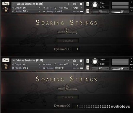 Musical Sampling Soaring Strings