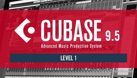 Sonic Academy How To Use Cubase 9.5 Beginner Level 1