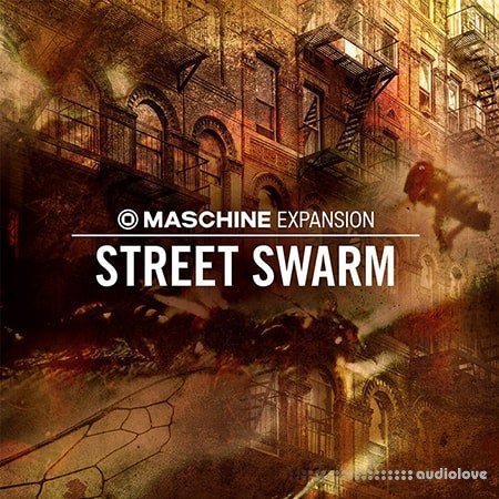 Native Instruments Maschine Expansion Street Swarm